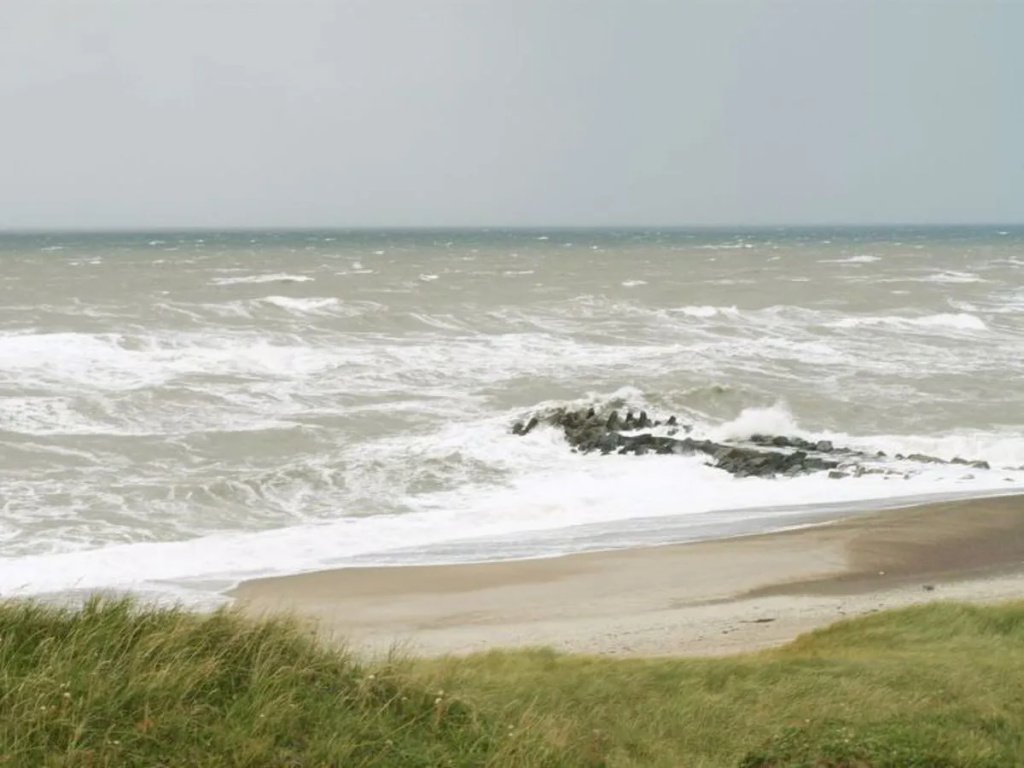 "Lissa" - 300m from the sea in Western Jutland