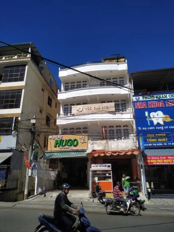 Hoa Cuc Nho House