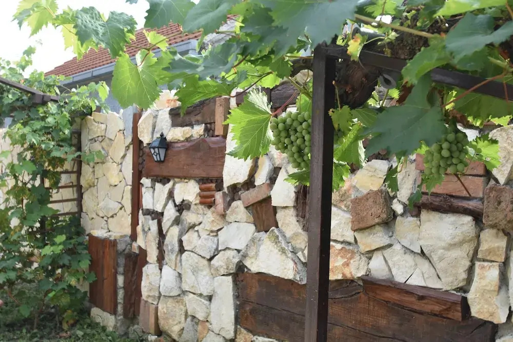 This Pleasant Holiday Home is an Ideal Starting Point to Explore Dalmatia