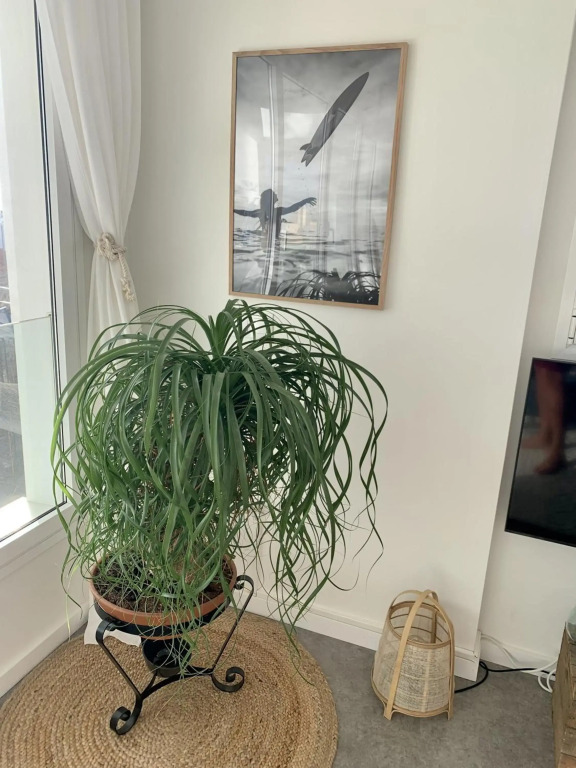 Sunset Ocean View Apartment mit SPA und Parking