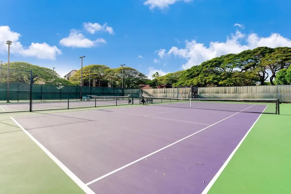 Papakea B110 in Lahaina