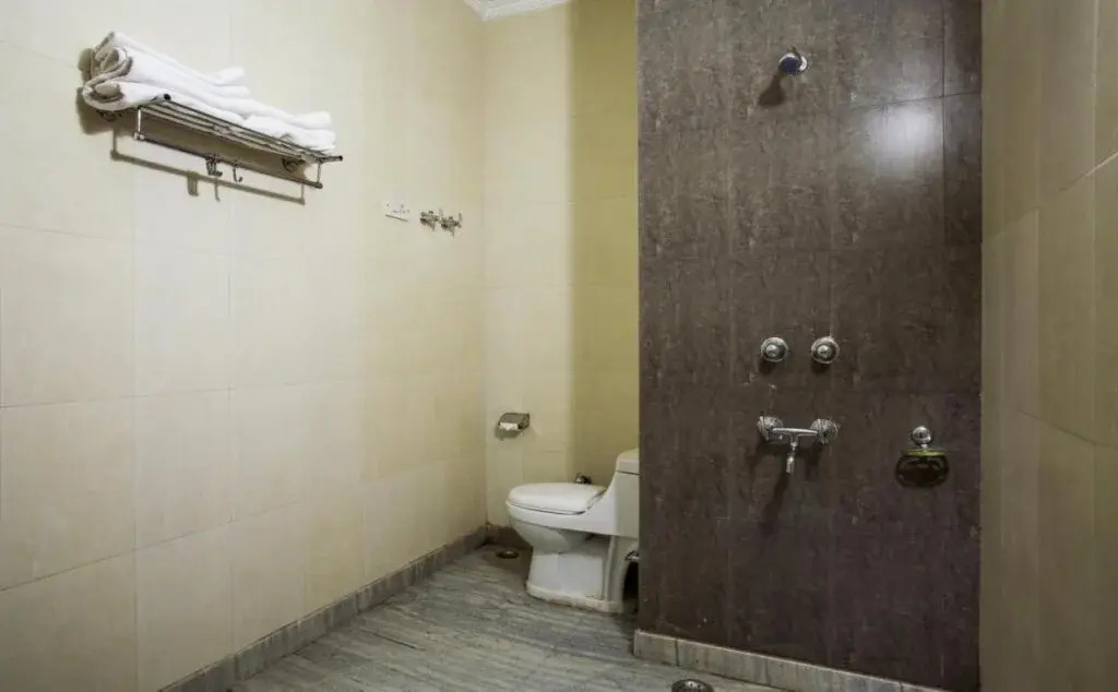 Hotel Shree Palace