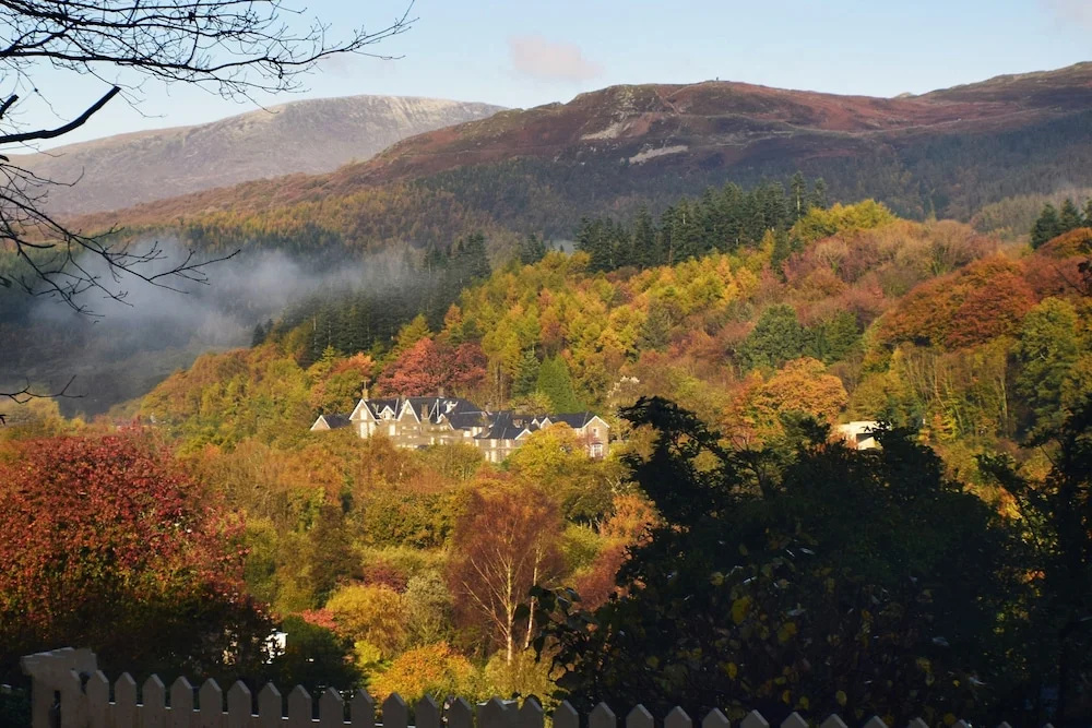 Borthwenbnb
