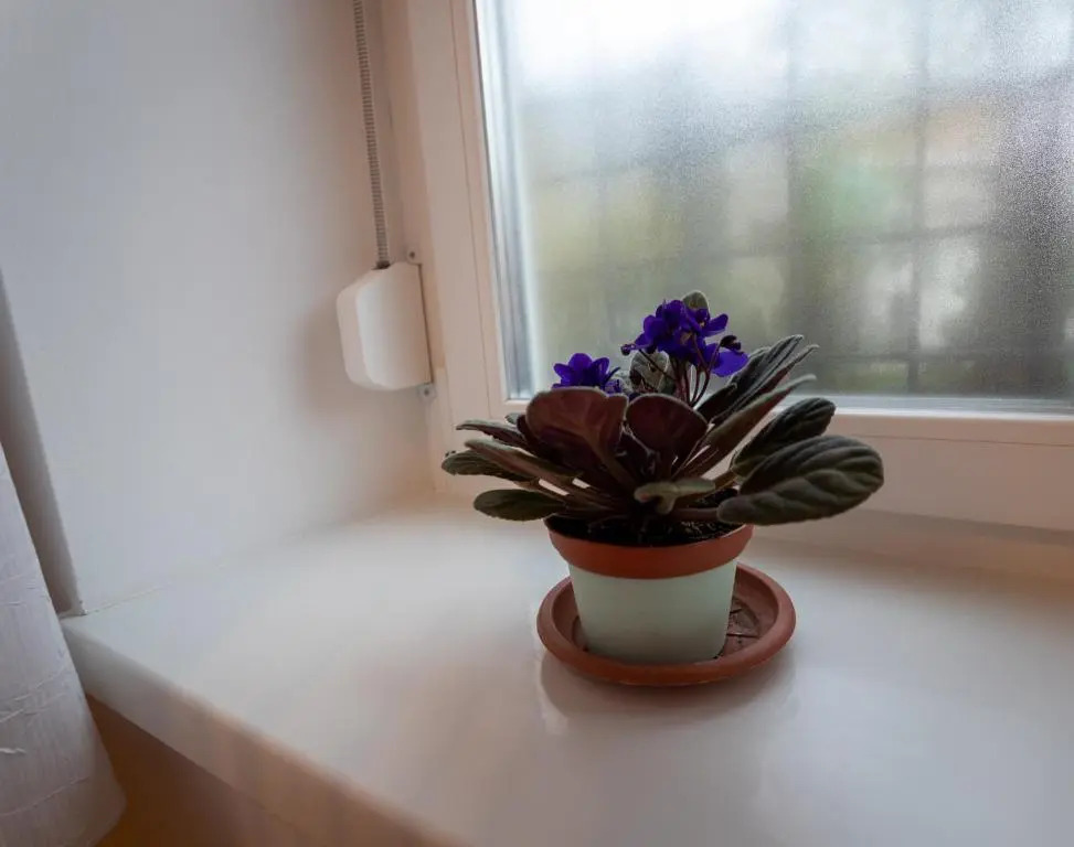 Sunbird Apartman Budapest