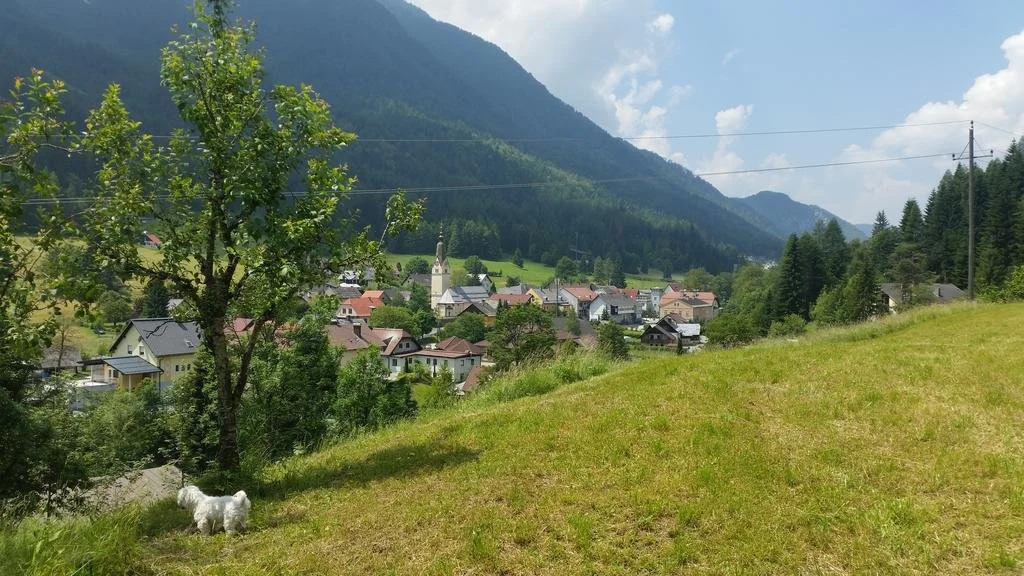 Bauernhof Hausmann