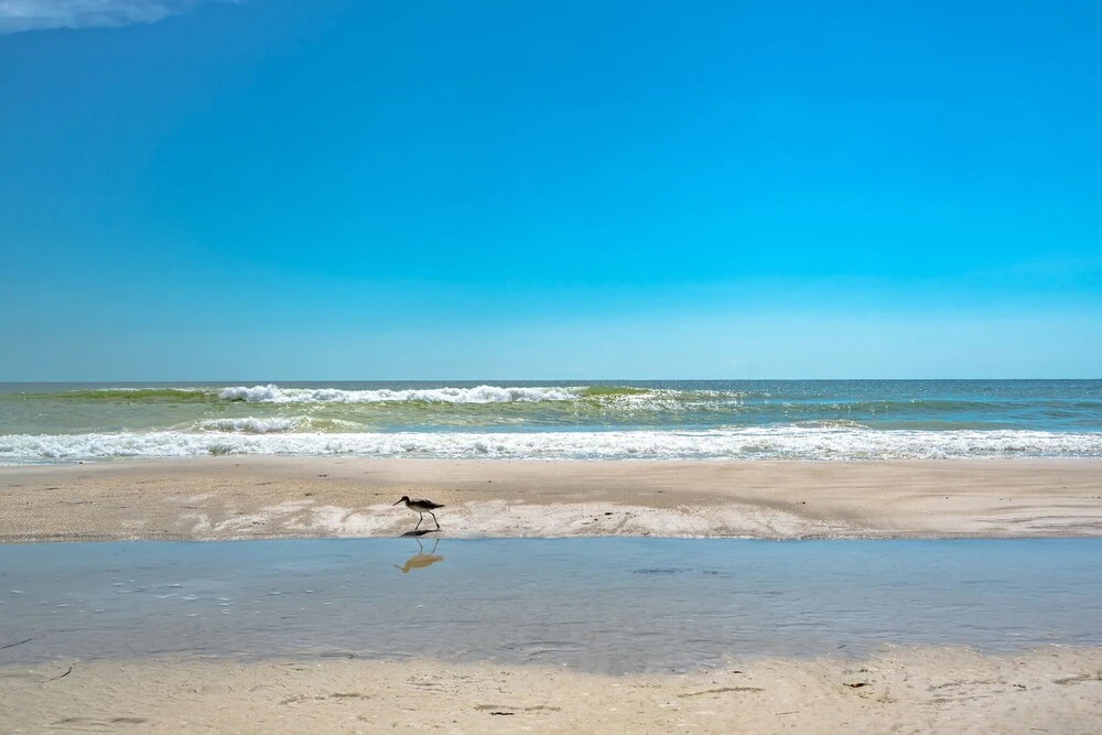 Seabreeze 1