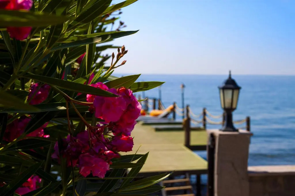 Kayalar Blue Beach Hotel
