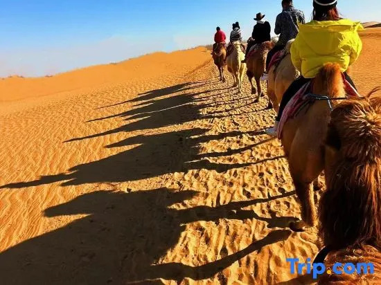 Zhongwei Moshang Fanxing Desert Star Watching Homestay