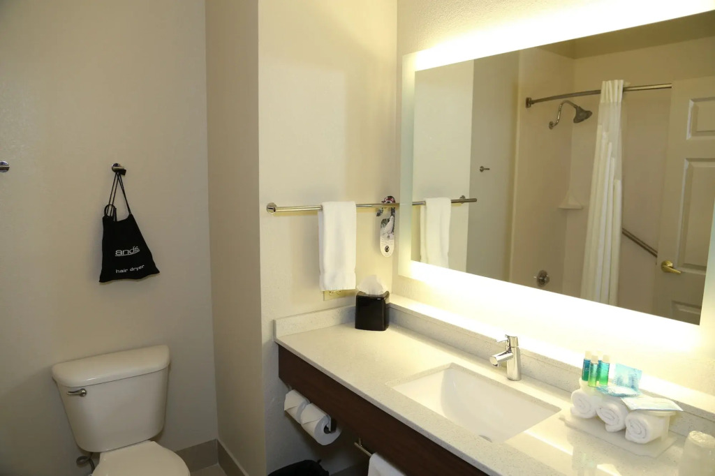 Holiday Inn Express Hotel & Suites Greenville by IHG