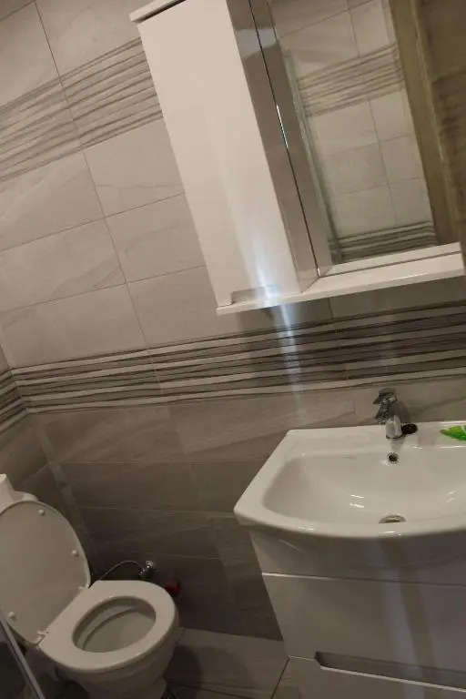 Bakuriani X2 apartment