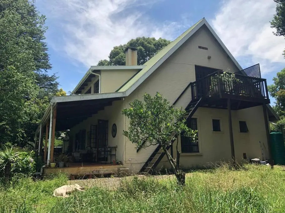 Silver Birch Studio