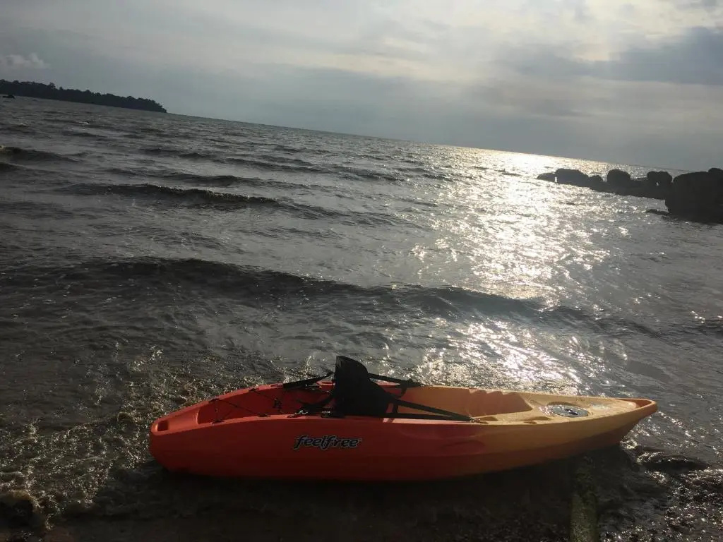 Sleep Soundly By The Sea