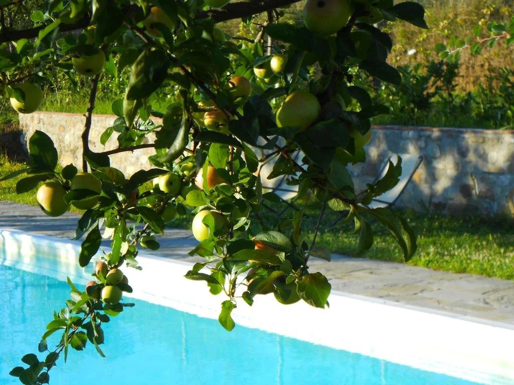 Agriturismo Amedea