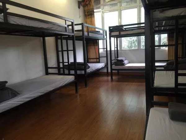 Meow Hostel
