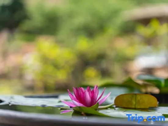Dongguan Yuanguanshan Lakeside Homestay
