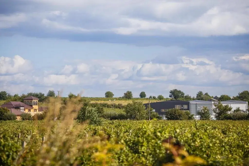 Pescobar Winery and Resort