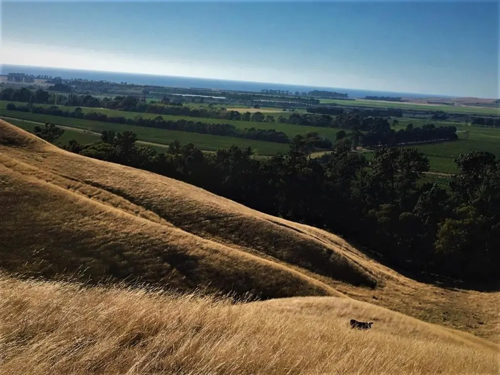 Hill Top Retreat