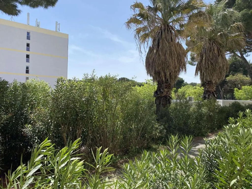 Appartement Balaruc-les-Bains, 1 pièce, 2 personnes - FR-1-553-121