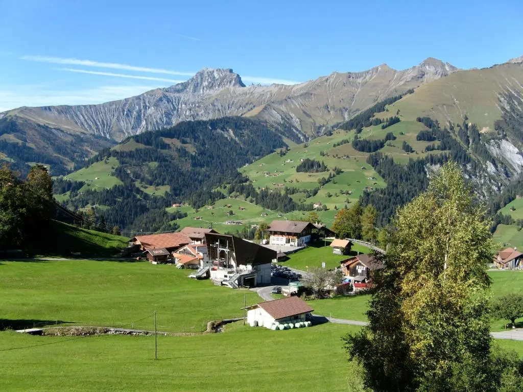 Chalet Weidli