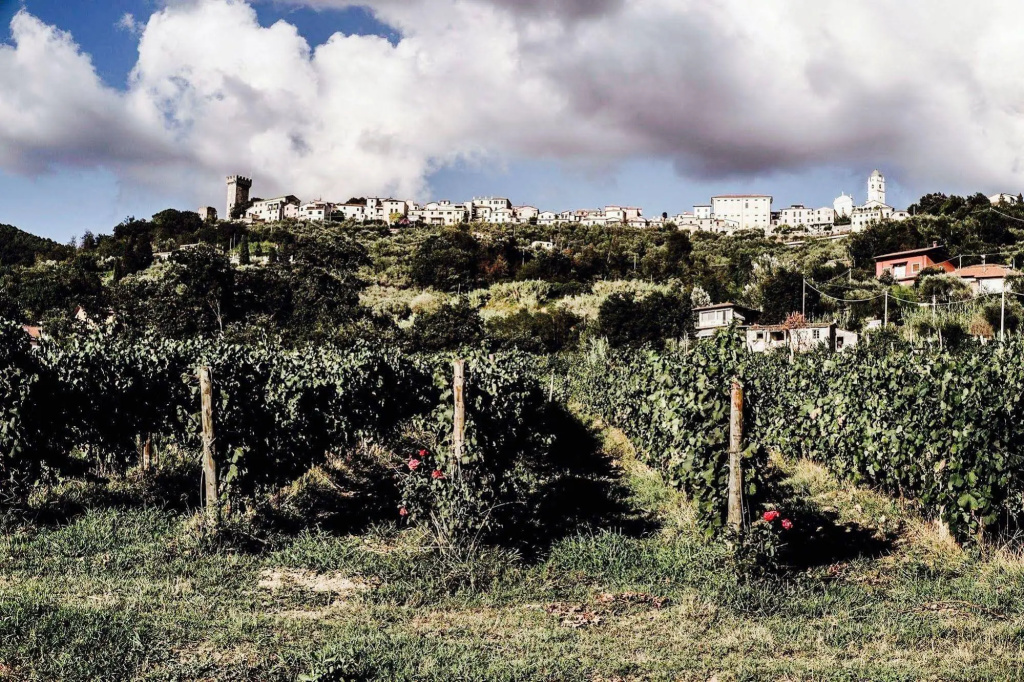 Affittacamere "LA VALLE"