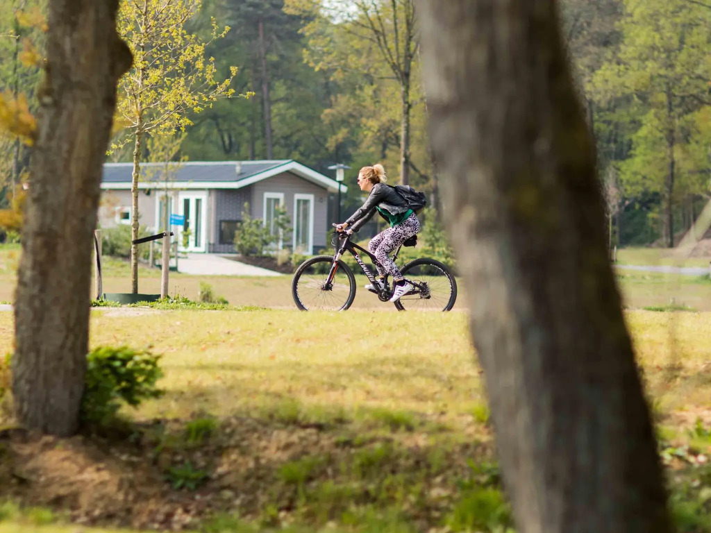 Comfortable chalet with outdoor spa, in a holiday park located near the Veluwe