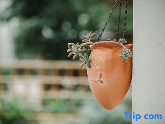 Zhuxi, Zuxi homestay