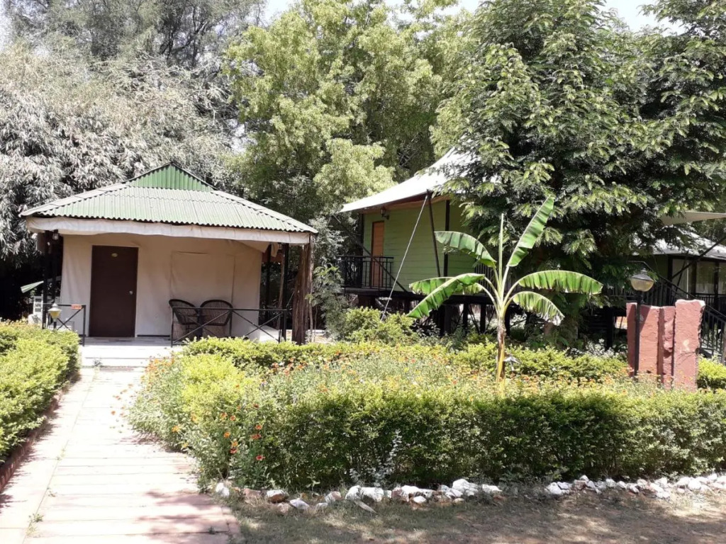 Sariska Tiger Heaven