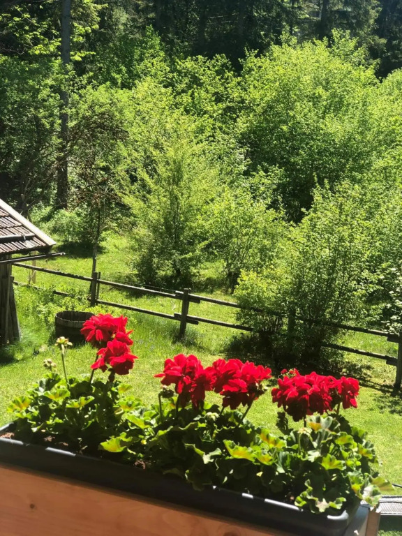 Landhaus Wiesner ab Dezember täglich MIT oder OHNE FRÜHSTÜCK von 8 bis 9 Uhr