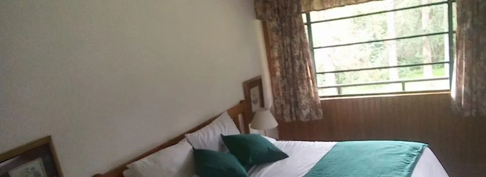 Pine Tree Inn