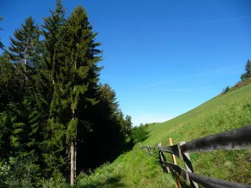 Putzerhof