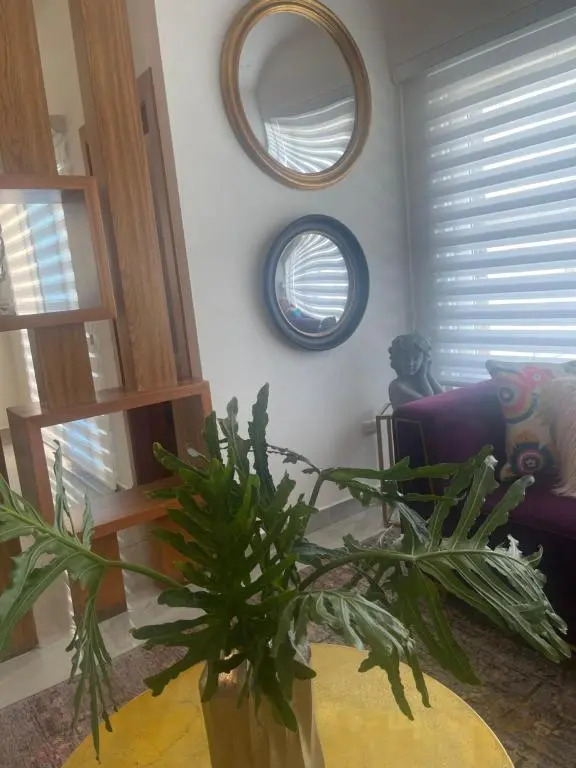 Verdana Villa.
