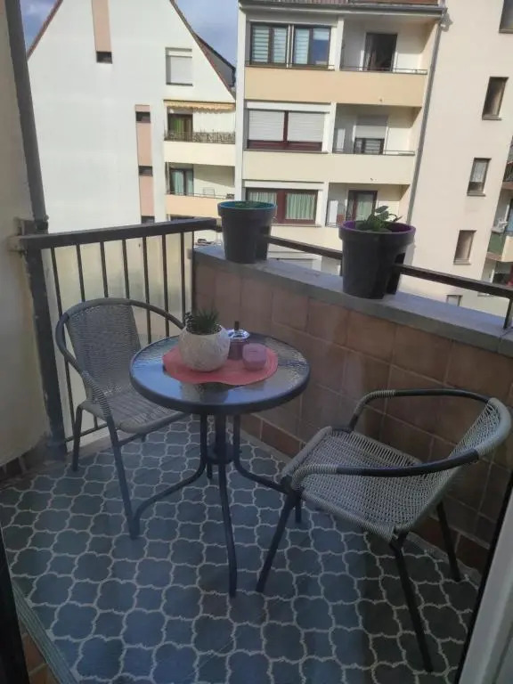 Appartements F3 Design Colmar+Parking Free