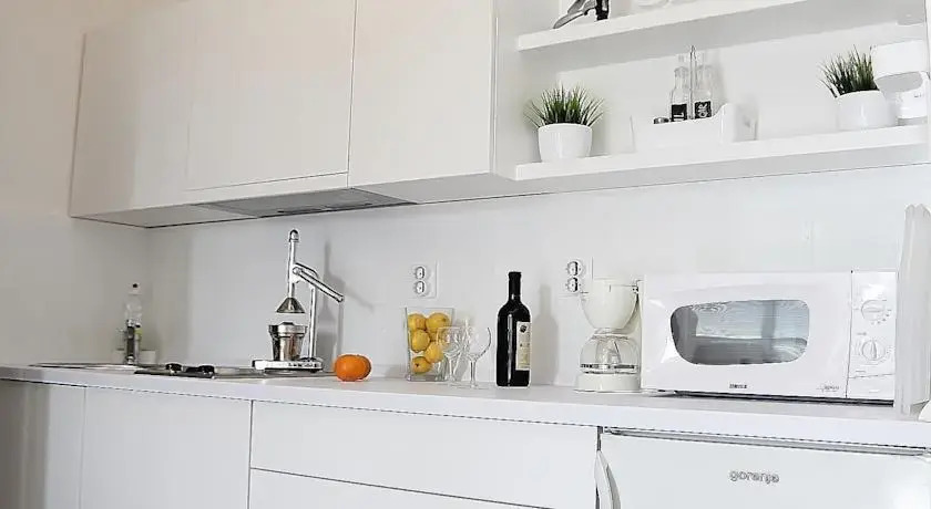 Apartment Lutrovic 202