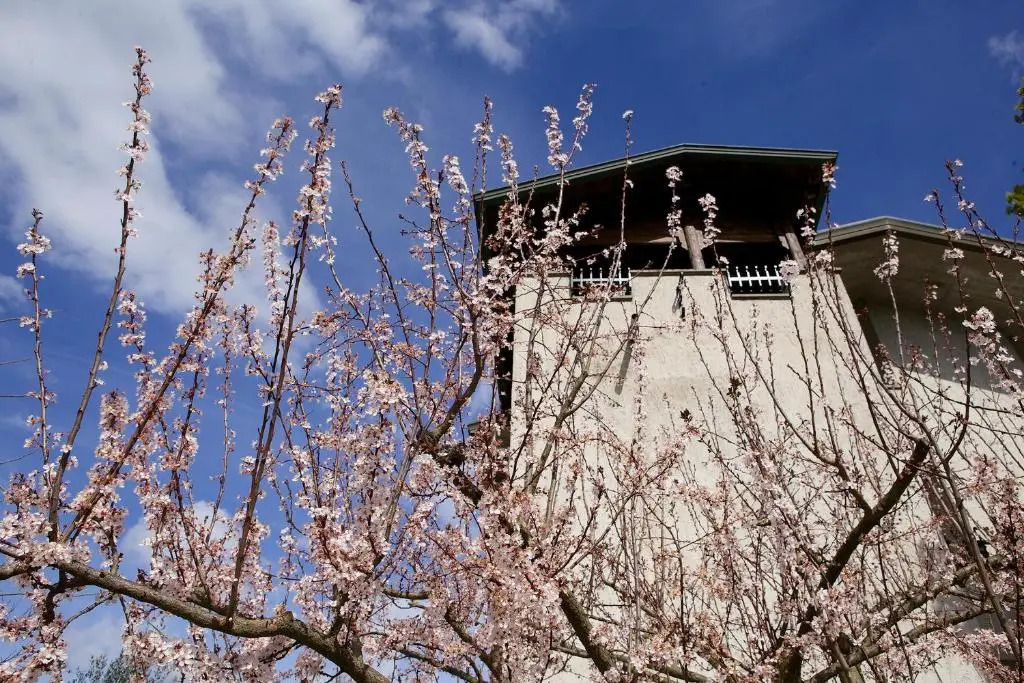 Torretta dAssisi