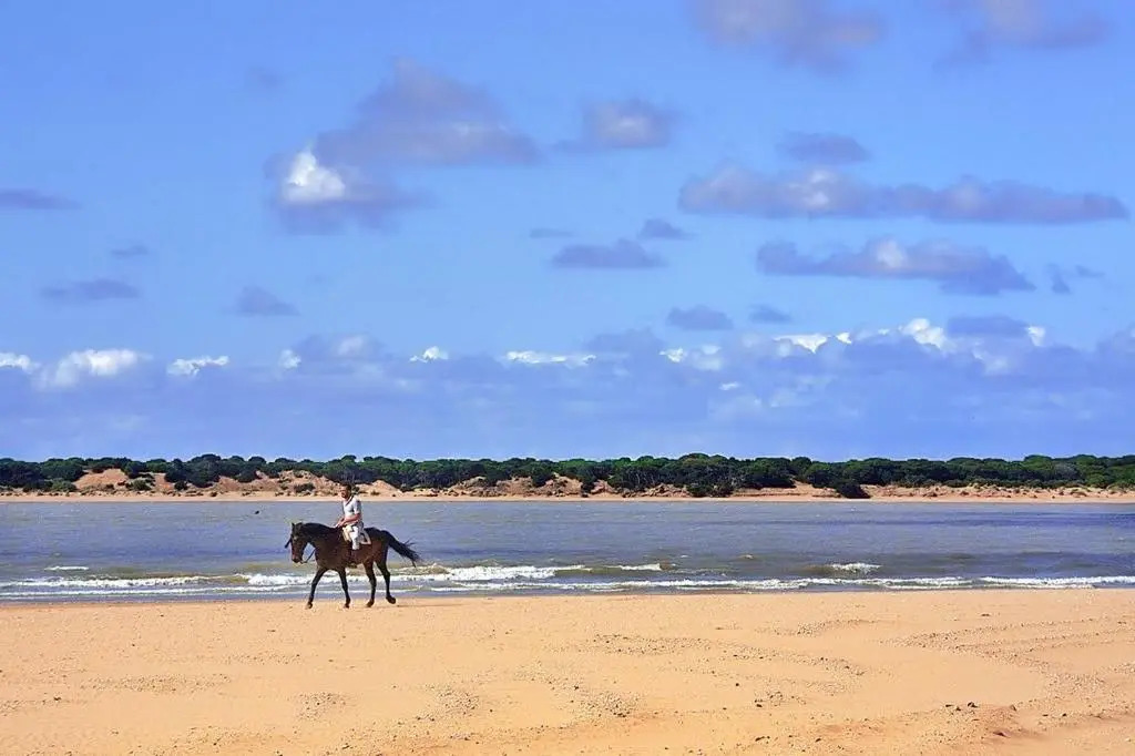 Apartamentos Sanlúcar & Doñana