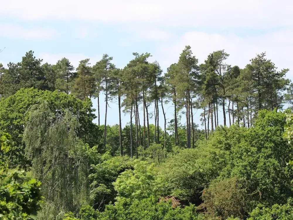 4 star holiday home in Ebeltoft