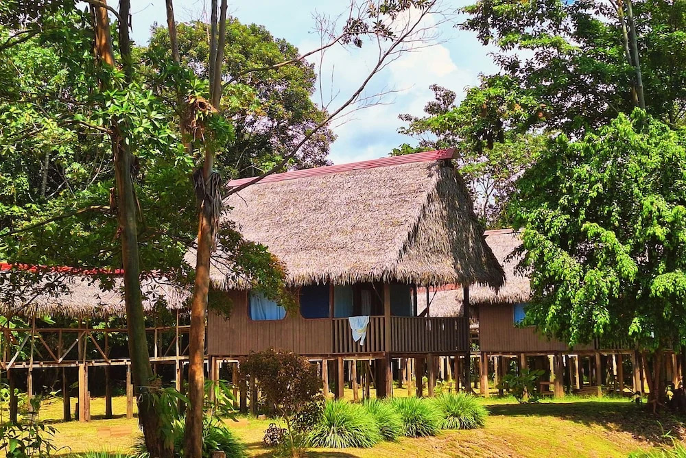 Amazon Curassow Lodge and Expeditions