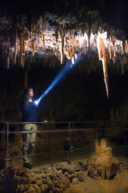 Aven Grotte Forestière