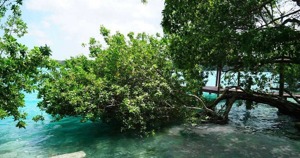 Laguna Secreta Bacalar