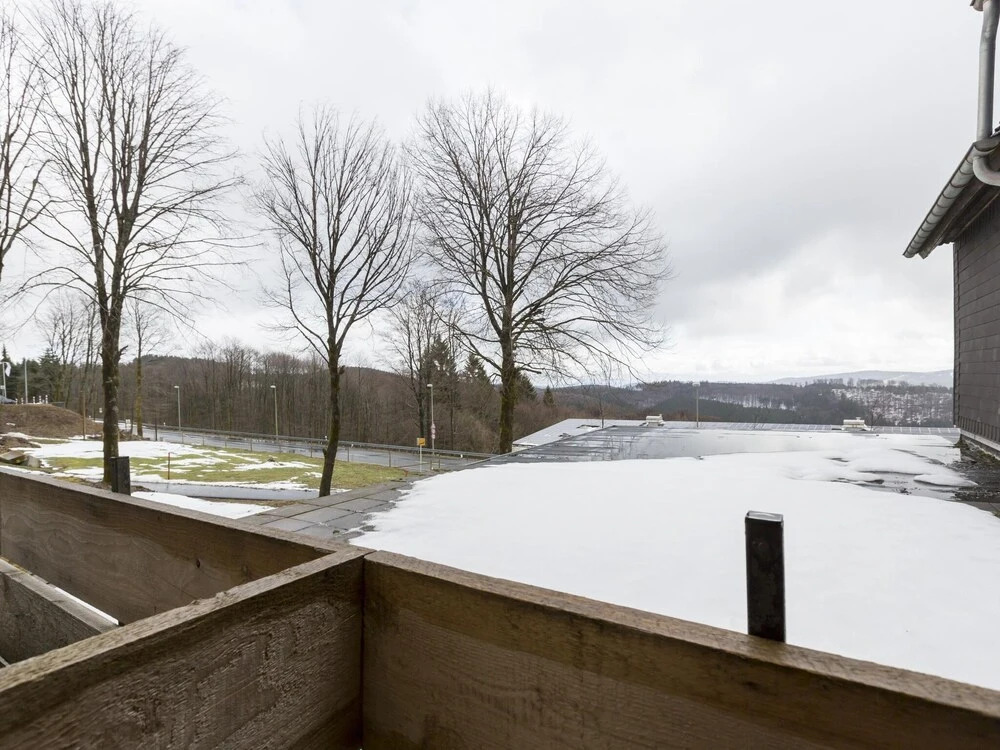 Secluded Apartment in Winterberg near Ski Area