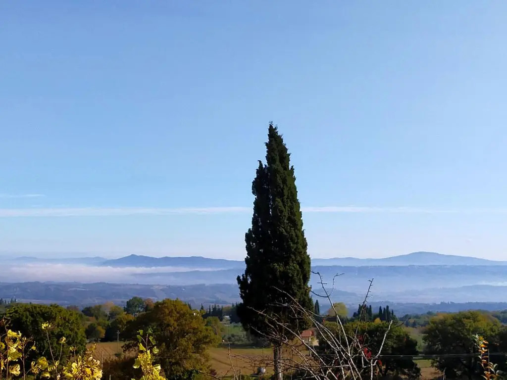 Il Borgo Del Lupo Relax Family Apartments in Tuscany with Restaurant & Swimming Pool