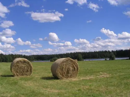 Ubytování Holcovi