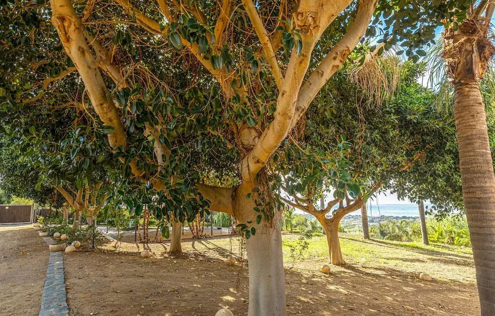 Beautiful Home in Campofelice Roccella With Wifi, Outdoor Swimming Pool and 1 Bedrooms