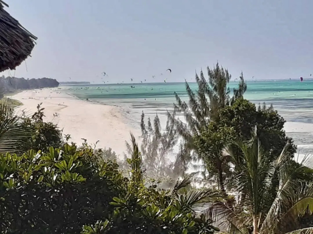 Panorama Ocean View