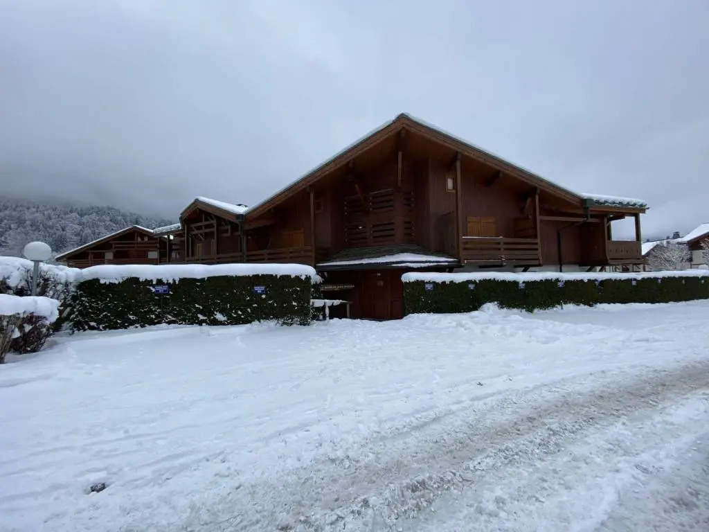 Appartement Praz-sur-Arly, 1 pièce, 4 personnes - FR-1-603-17
