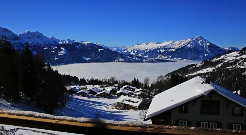 Swiss Lakeview Apartment