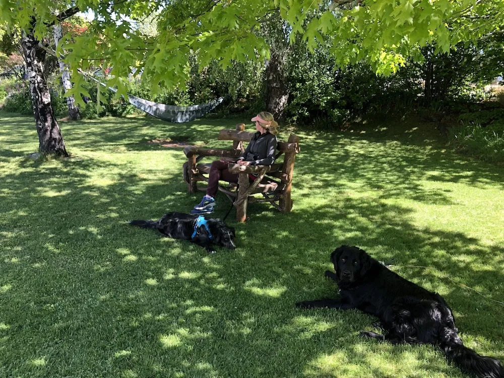 Tailor Made Tekapo Accommodation - Hostel