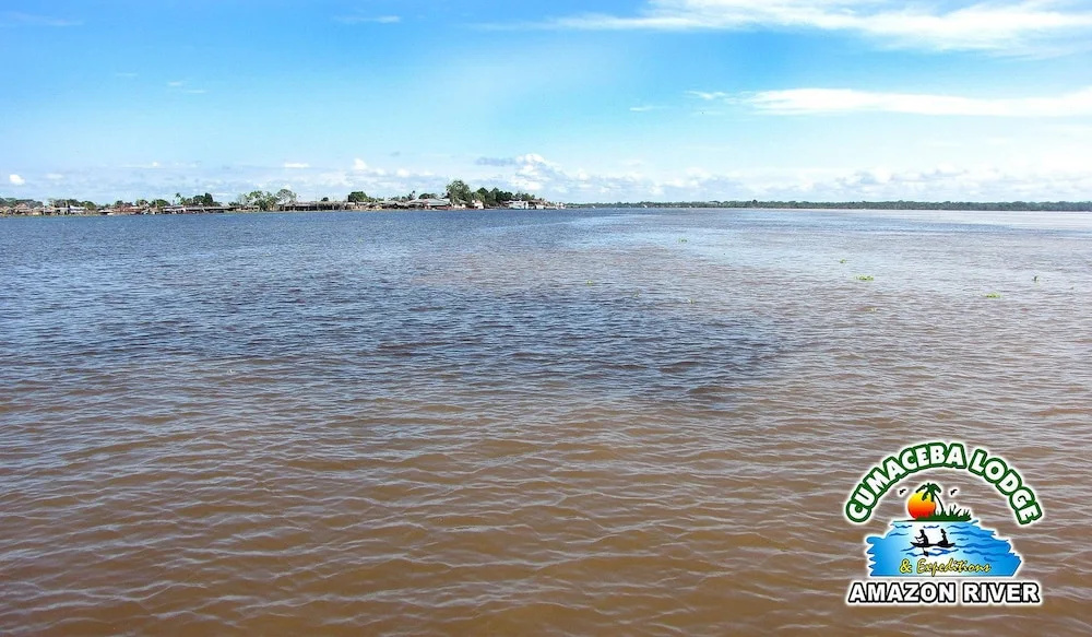 Cumaceba Amazon Lodge