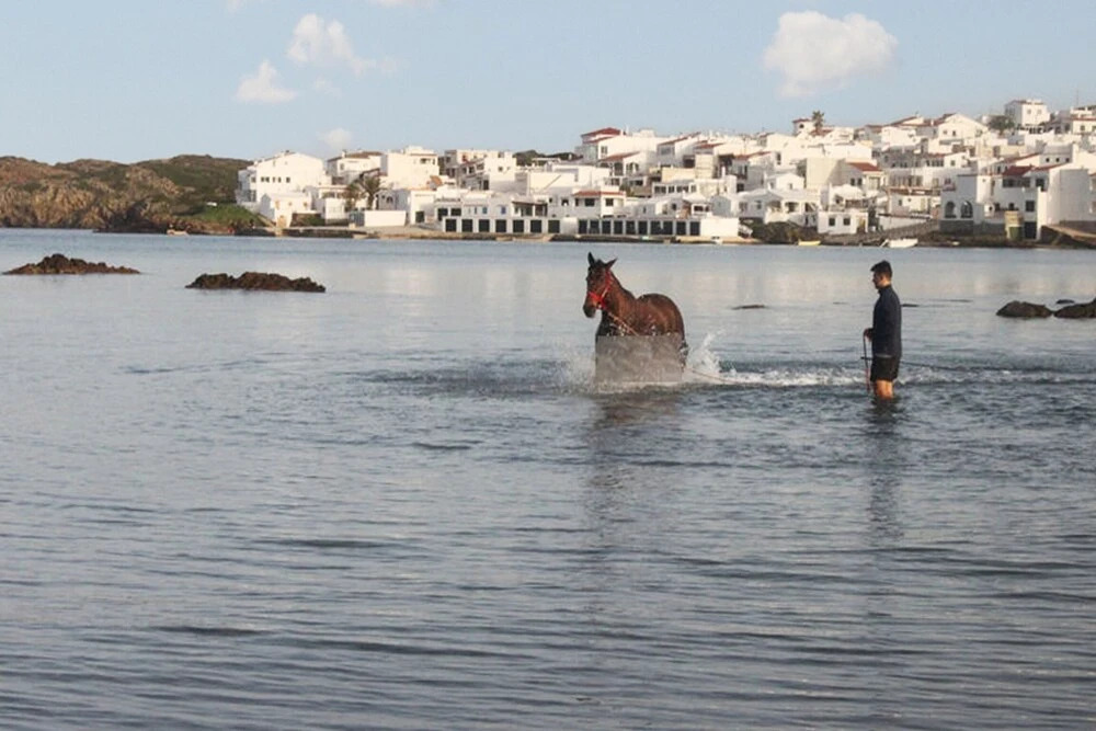 House With 3 Bedrooms in Maó-mahón, With Wonderful sea View, Private P
