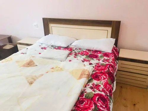 Guesthouse "Girgvliani"